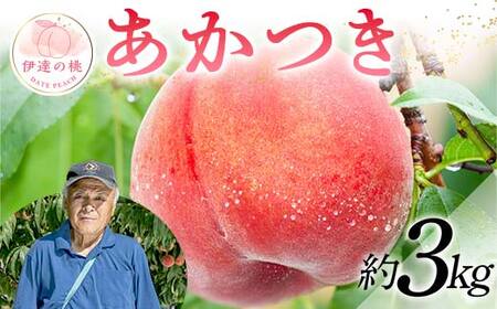 【2026年出荷分先行予約】福島県産 あかつき 約3kg (9～12玉) 斎藤 常昭 新鮮もも直送 伊達の桃 桃 フルーツ 果物 もも モモ momo F20C-607