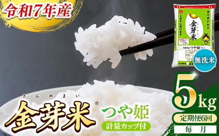【定期便】BG無洗米・金芽米つや姫 5kg×6ヵ月 （毎月）計量カップ付き 令和7年産 6ヶ月 計30kg 東洋ライス 健康 島根県 安来市 【価格改定】【90-SS-43】
