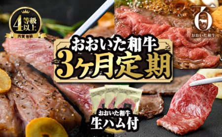 ＜定期便・全3回(連続)＞豊後牛・おおいた和牛定期便(総量1.75kg) 牛肉 国産 和牛 ロース もも 生ハム 焼肉 すき焼き しゃぶしゃぶ 大分県 佐伯市 【FW014】【ミートクレスト】