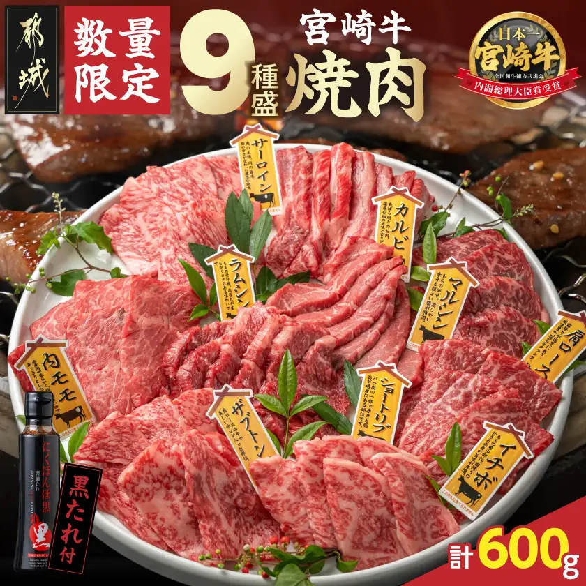 数量限定】宮崎牛9種盛り焼肉セット_22-31-006-600g_(都城市) ギフト