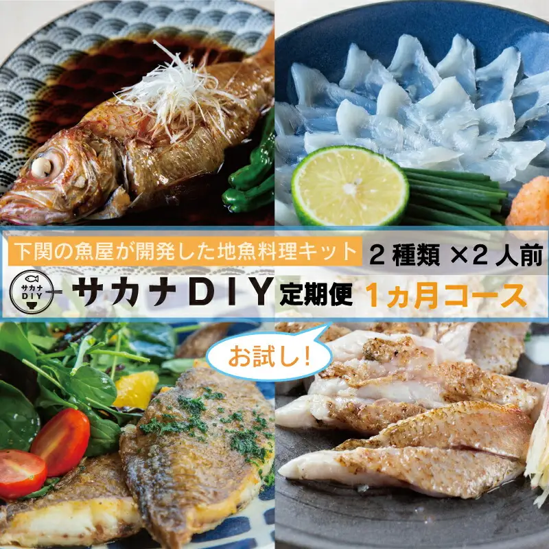 サカナDIY お試し1回 定期便 冷凍 2人前 鮮魚 CX