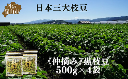 【先行予約】丹波黒枝豆 500g×4袋　仲摘み  枝豆  [CU09]