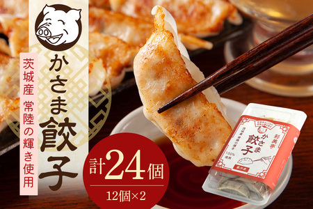 彩美亭 かさま 餃子 常陸の輝き12個入り 2セット HV-002