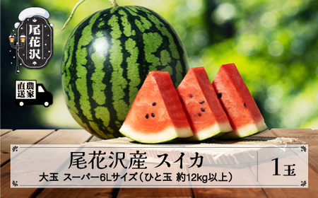 尾花沢産スイカ すいか スーパー6Lサイズ 約12kg以上×1玉  令和8年産 kb-sus6x1