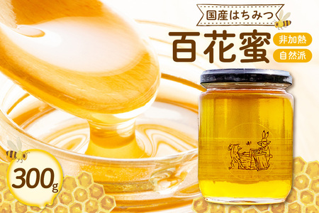 国産はちみつ百花蜜 300g / 蜂蜜 ハチミツ 無添加 はち 蜂 百花蜜 国産はちみつ 愛知県 知多市