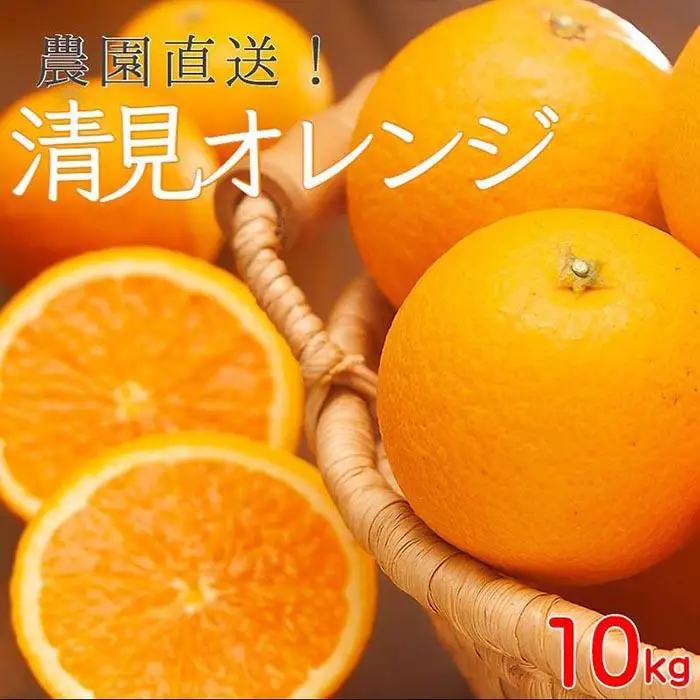訳あり 清見オレンジ 混合 10Kg【令和9年3月から発送】清見オレンジ 