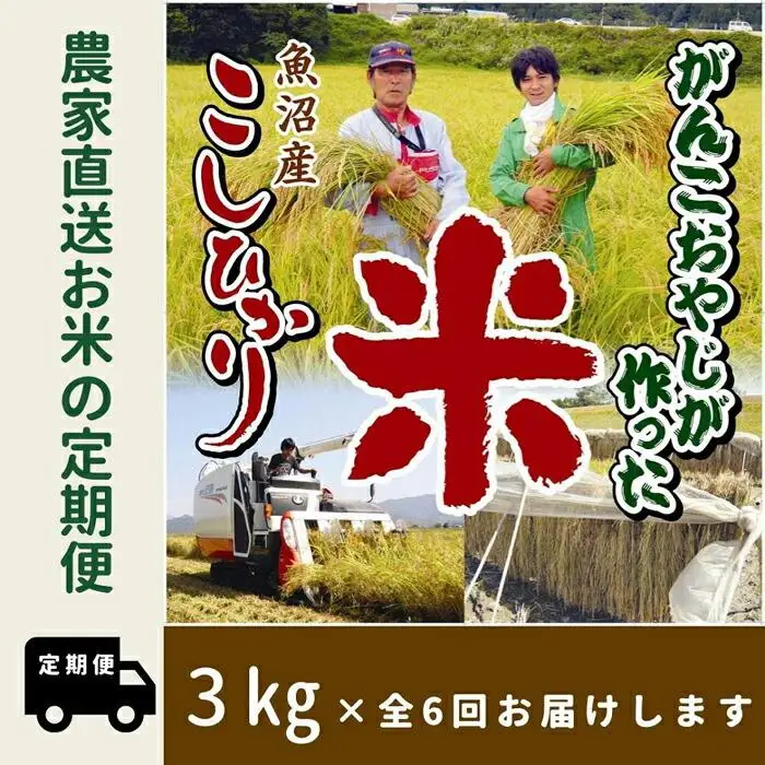 【令和７年産】6か月定期便　がんこおやじが作った南魚沼産コシヒカリ白米３kg【定期便 銘柄米 ブランド米 精米 こしひかり コシヒカリ 魚沼産 新潟米 産地直送 お米 米 こめ コメ ご飯 御飯 ごはん】
