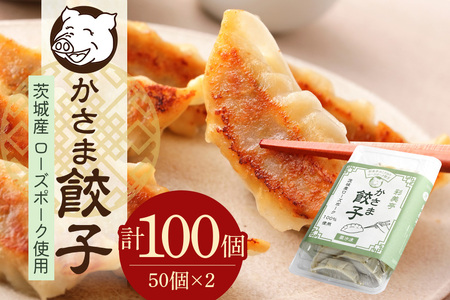 彩美亭 かさま 餃子 ローズポーク100個 HV-008