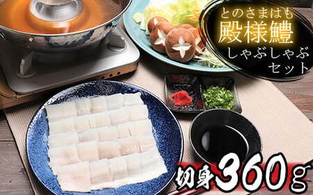 鱧 湯引き 鱧しゃぶ 360g 骨切り 切り身 冷凍 旬 鱧鍋 鱧料理 ／ 殿様鱧（とのさまはも）しゃぶしゃぶセット 切身360g 3人前～4人前 ＜101-012＞