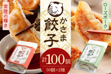 彩美亭 かさま 餃子 常陸の輝き・ローズポークセット 100個 HV-009