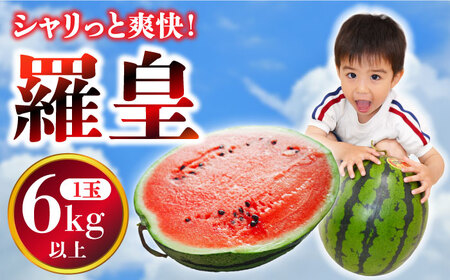 【2026年5月下旬-発送】大玉羅皇 スイカ 1玉 [SBA013] すいか