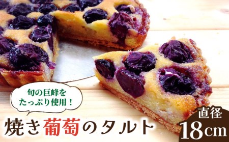 【2026年8月中旬-発送】【予約制のタルト専門店】焼き葡萄のタルト / ぶどう タルト たると ケーキ タルトケーキ スイーツ デザート / 南島原市 / アトリエジジ [SAA001]