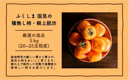 ◆2026年秋発送◆＜ 種無し柿（樹上脱渋）・約5kg ＞ ※2026年10月下旬～11月下旬頃に順次発送予定