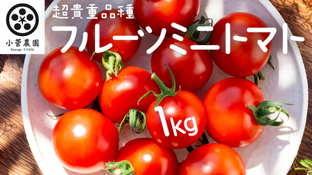 フルーツミニトマト 約1kg 【2026年1月10日発送開始】 