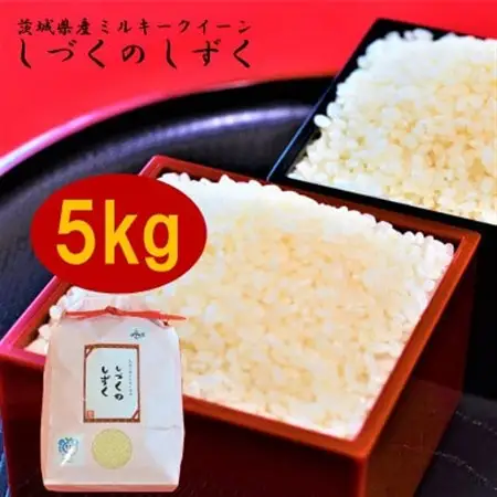 もっちり甘い! 　茨城県ミルキークイーン　しづくのしずく　5kg_ 精米 米    ミルキークィーン 米 みるきーくいーん ミルキークイーン_【1102648】