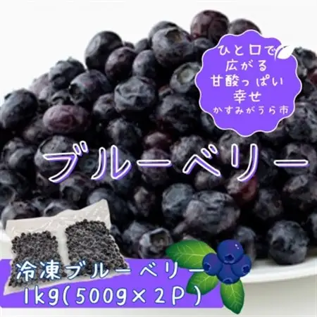 冷凍ブルーベリー1kg(500g×2パック)_果物・フルーツ ブルーベリー  _【配送不可地域：離島】【1108080】
