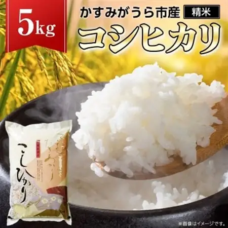 令和7年産かすみがうら市産コシヒカリ  精米  5kg_茨城県産 こしひかり 5kg 米 ご飯_【1268974】