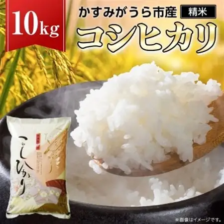 令和7年産かすみがうら市産コシヒカリ  精米  10kg_茨城県産 こしひかり 10kg 米 ご飯_【1268976】