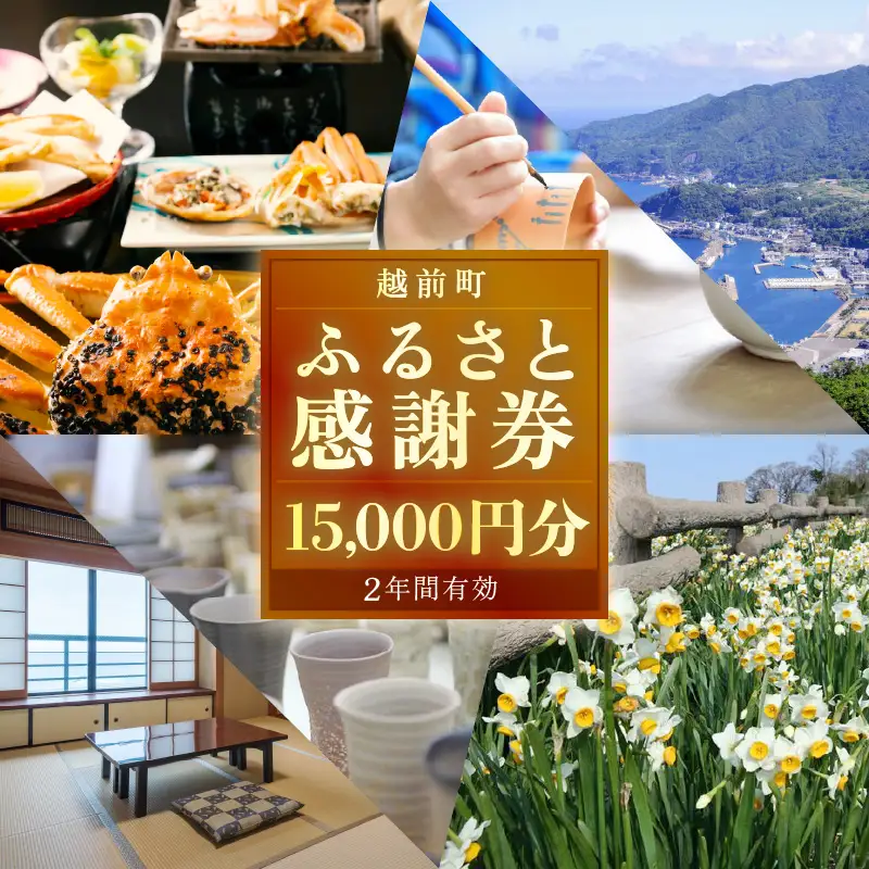 越前町ふるさと感謝券（15,000円分）【宿泊 レジャー アウトドア BBQ 体験型 宿泊券 福井県】 [e05-e001]