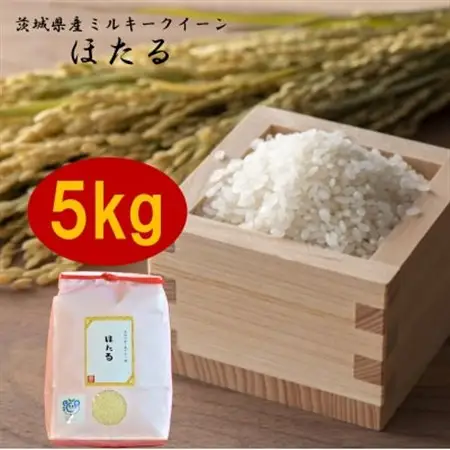 茨城県産ミルキークイーンほたる5kg_ 精米 米    ミルキークィーン 米 みるきーくいーん ミルキークイーン_【1342893】