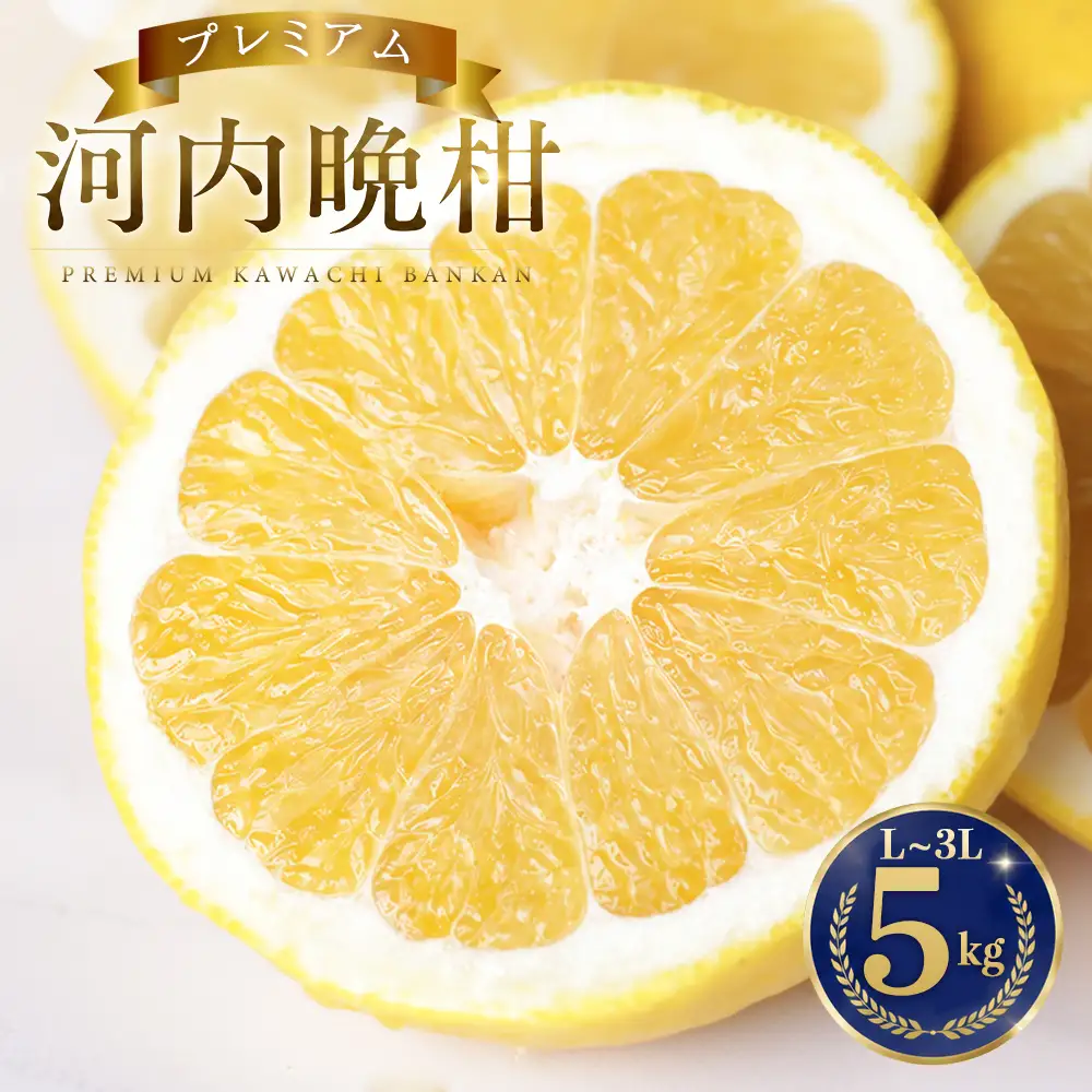 プレミアム 河内晩柑 5kg 河内晩柑 清家ばんかんビレッジ