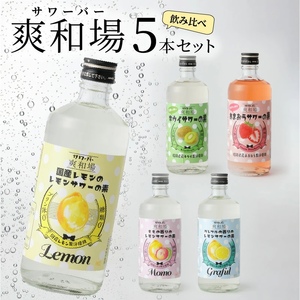 爽和場（サワーバー） 飲み比べ5本セット_爽和場 サワーバー 5種類 飲み比べ 500ml 5本 セット レモンサワーの素 割るだけ 糖類ゼロ プリン体ゼロ レモン グレープフルーツ もも キウイ あまおう レモンサワー サワー リキュール お酒 福岡 久留米 送料無料 〔Ew006〕