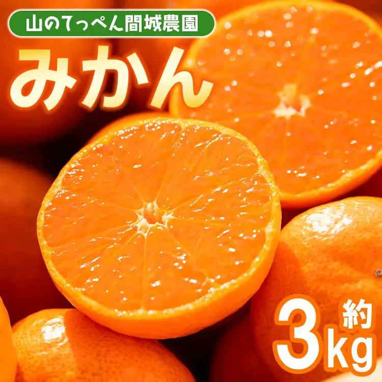 山のてっぺん間城農園のみかん 3kg【みかん 山のてっぺんみかん 間城農園みかん 甘いみかん みかん 山北地区のみかん 香南市】 ms-0083