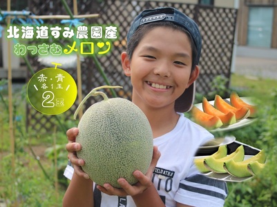 【ふるさと納税】≪令和8年産予約≫わっさむ産メロン（赤・青各1玉）【7～8月お届け】