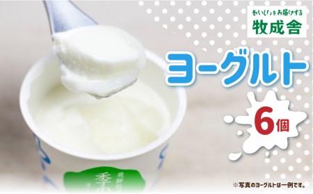 牧成舎カップヨーグルト 6個 訳あり 牧成舎 味おまかせ お楽しみ 福袋 プレーン 砂糖不使用 わけあり [Q1453_u]