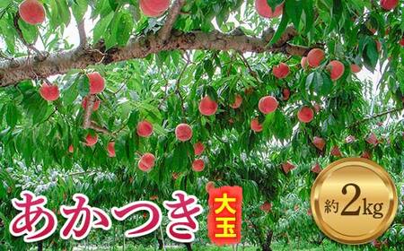 【2026年出荷分先行予約】福島県産 あかつき 約2kg (6玉入り) 伊達農園 JGAP認証 伊達の桃 桃 フルーツ 果物 もも モモ momo F20C-587