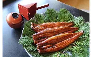 三河一色産 鰻の蒲焼き 3尾 計540g以上 うなぎ処はちすか 国産 日本料理 うなぎ 蒲焼 白焼 真空 冷蔵 大きい 白だし かつおぶし 出汁 うな丼 うな重 ひつまぶし　H026-031