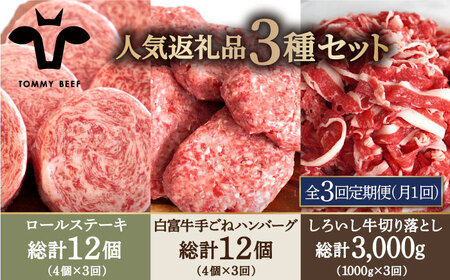 【3回定期便】ロールステーキ4個＆手ごねハンバーグ4個＆切り落とし1kg / ステーキ ハンバーグ [IAH185]