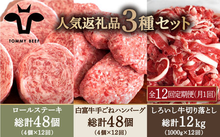 【12回定期便】ロールステーキ4個＆手ごねハンバーグ4個＆切り落とし1kg / ステーキ ハンバーグ  [IAH187]