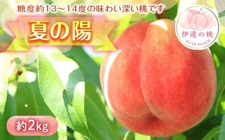 【2026年出荷分先行予約】福島県産 夏の陽 約2kg (7～9玉) 高橋もも園 中玉 柔らかめ 伊達の桃 桃 フルーツ 果物 もも モモ momo F20C-454