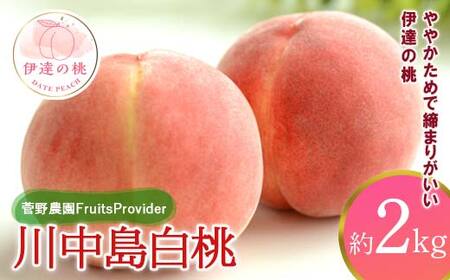 【2026年出荷分先行予約】福島県産 川中島白桃 約2kg (5～7玉) 菅野農園FruitsProvider 白桃 大玉 伊達の桃 桃 フルーツ 果物 もも モモ momo F20C-605