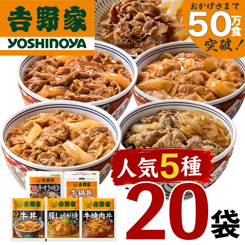 吉野家 人気5種 20袋 セット 詰め合わせ 冷凍 牛丼 レトルト 丼の具 レトルト食品 非常食 防災食 新潟 十日町市