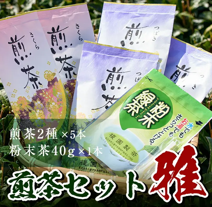No.014 煎茶セット(雅)【世献 榎園製茶】