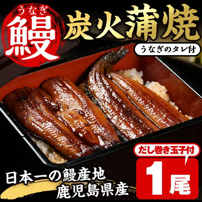 No.310 鹿児島県産うなぎの炭火蒲焼(1尾・タレ付)と自慢の出汁巻き卵1本付！ 国産 九州産 鰻 ウナギ うな重 うな丼 蒲焼 卵焼き 出汁巻き 出汁巻きたまご 炭火焼 おかず 特産品 お土産 セット冷凍【家むら】