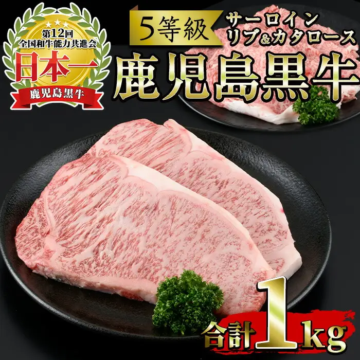 No.347 ＜肉質等級5等級＞(E-301)鹿児島黒牛サーロインステーキ2枚・すきやきセット(計1kg)国産 九州産 牛肉 黒牛 黒毛和牛 和牛 ステーキ スライス サーロイン リブロース 肩ロース カタ すき焼き しゃぶしゃぶ【さつま日置農協】