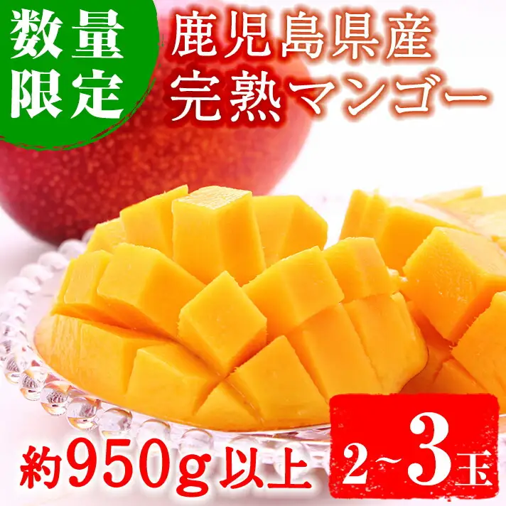 No.471 ＜先行予約受付中！2026年5月中旬から発送＞《期間・数量限定》完熟マンゴー2玉入り及び3玉入り(約950g以上)国産 九州産 フルーツ マンゴー ギフト 贈答 数量限定【さつま日置農協北部営農センター】