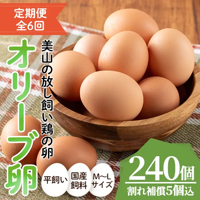 No.779 ＜定期便・全6回(連続)＞鹿児島県産美山オリーブ卵(40個×6ヶ月連続) 割れ保証付 国産 九州産 鹿児島県産 たまご タマゴ オリーブ 卵 鶏卵 生卵 おかず TKG 卵かけご飯 朝食 定期便 頒布会 数量限定【美山たまご王国】