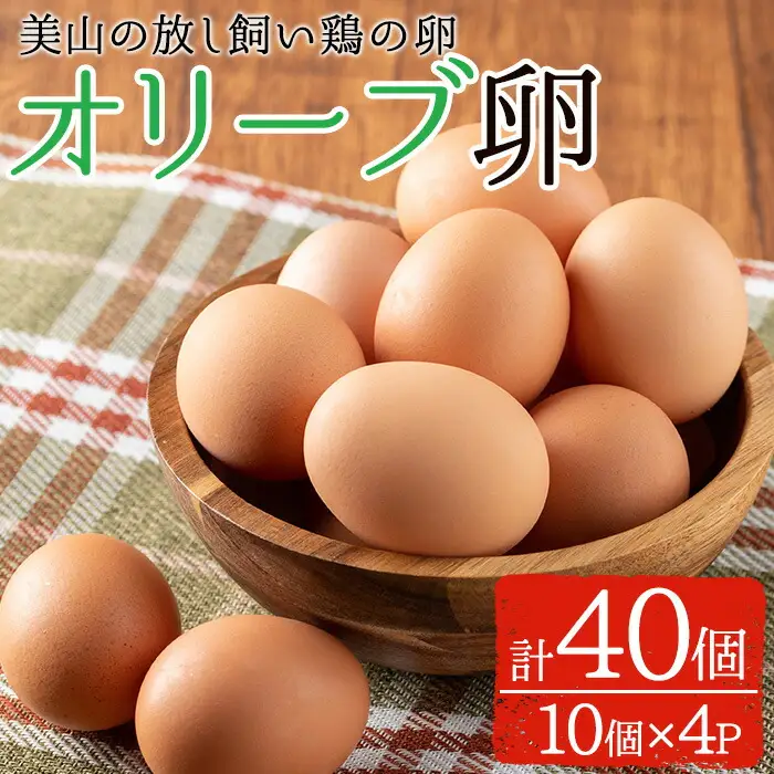 No.780 鹿児島県産美山オリーブ卵(40個) 割れ保証付 国産 九州産 鹿児島県産 たまご タマゴ オリーブ 卵 鶏卵 生卵 おかず TKG 卵かけご飯 朝食 数量限定【美山たまご王国】