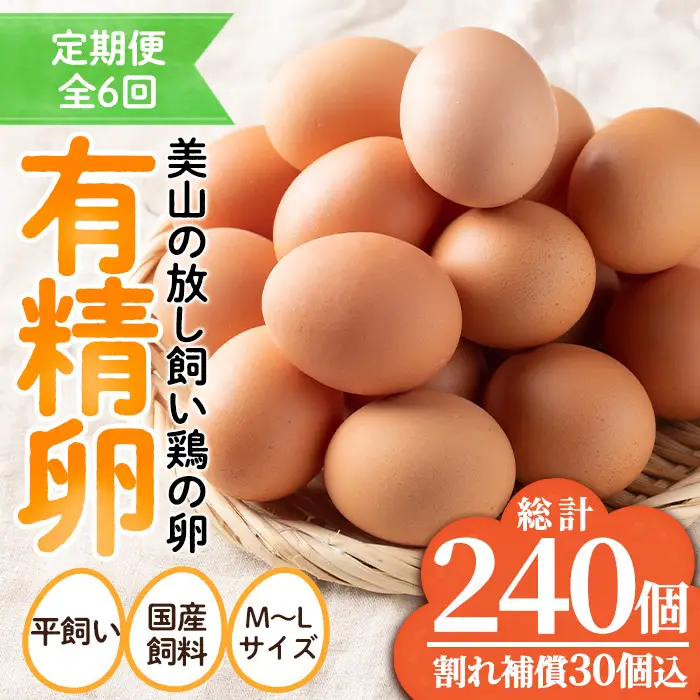 No.781 ＜定期便・全6回(連続)＞鹿児島県産有精卵(40個×6ヶ月連続) 割れ保証付 国産 九州産 鹿児島県産 たまご タマゴ 有精卵 卵 鶏卵 生卵 おかず TKG 卵かけご飯 朝食 定期便 頒布会 数量限定【美山たまご王国】