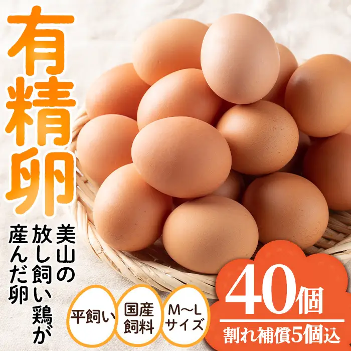 No.782 鹿児島県産有精卵(40個) 割れ保証付 国産 九州産 鹿児島県産 たまご タマゴ 有精卵 卵 鶏卵 生卵 おかず TKG 卵かけご飯 朝食 数量限定【美山たまご王国】