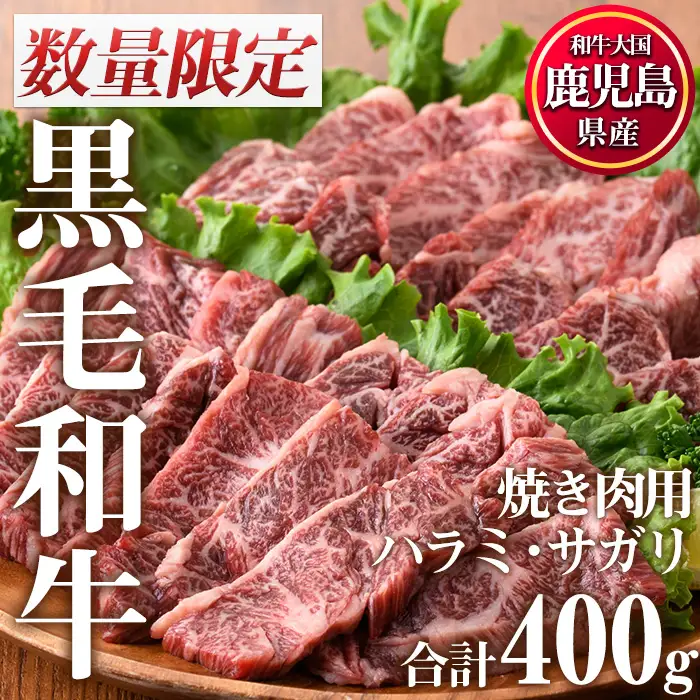 数量限定 鹿児島県産 黒毛和牛 焼肉 セット 合計400g ハラミ サガリ 牛肉 カミチク No.831 