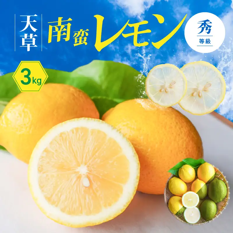 S131-003A_天草南蛮レモン　等級「秀」3kg