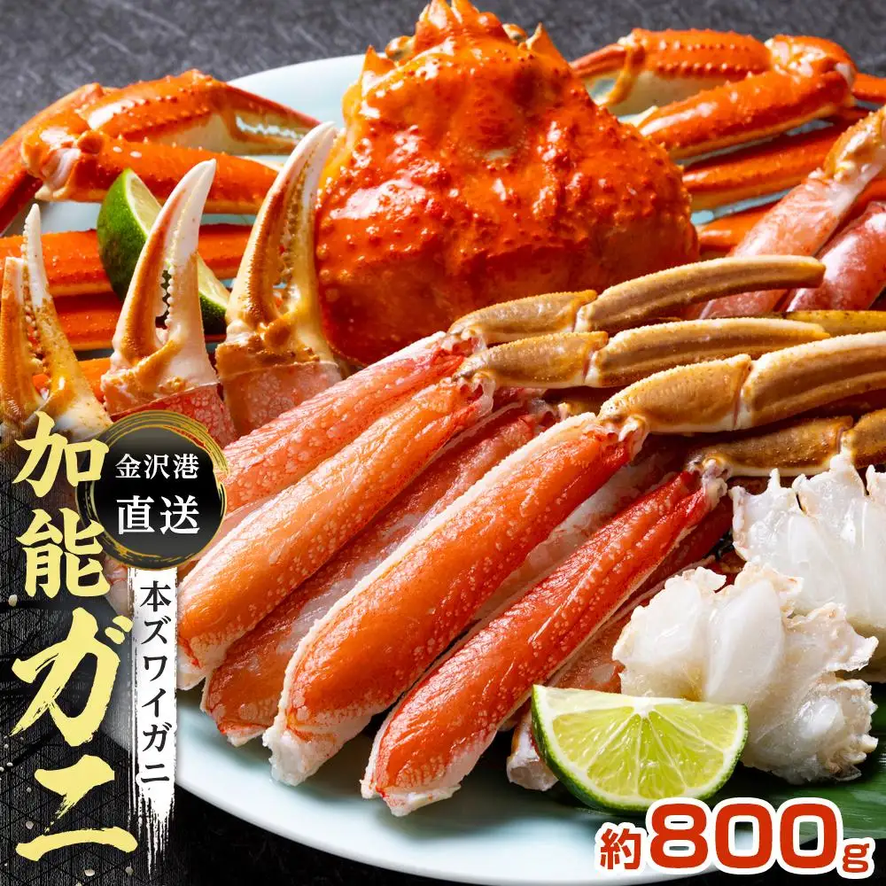 【予約受付】金沢港より直送！ボイル加能ガニ (大) ズワイガニ かに 蟹
