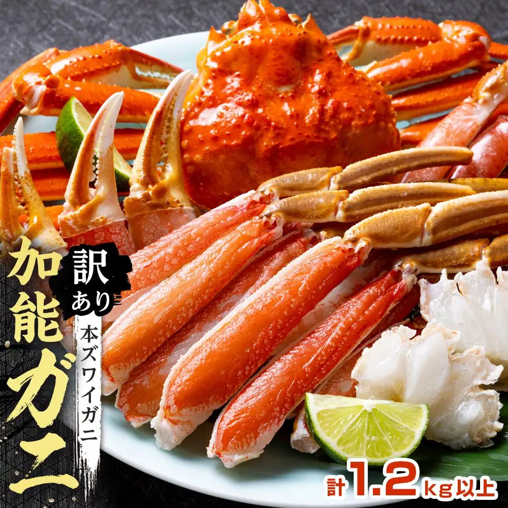 【予約受付】【訳あり】金沢港より直送！ボイル加能ガニ 2杯セット 蟹 かに
