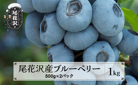 尾花沢産とれたて完熟ブルーベリー 生果実 1kg 500g×2パック 7月中旬~下旬頃発送 令和8年産 2026年産 ブルーベリー 果物 フルーツ 産地直送 kb-bbxxx1000 ※沖縄・離島への配送不可