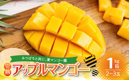 【 2026年 先行予約 】 南の島 で 太陽 の日差しをたっぷり浴びた 沖永良部産 「 完熟 アップルマンゴー 」 1kg W014-007u 果物 マンゴー